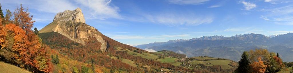 Développer et déployer un site entier en Go (Golang)
