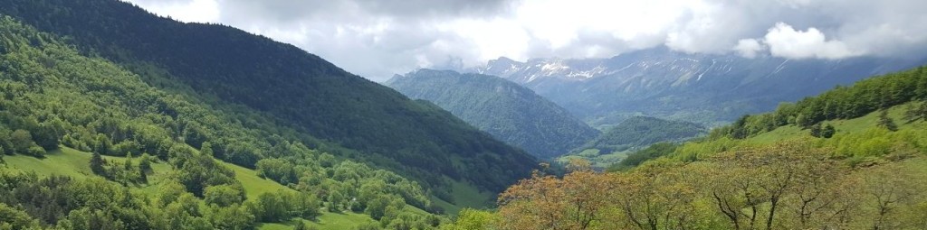 Bonnes lectures autour de Go, Python, et le management technique